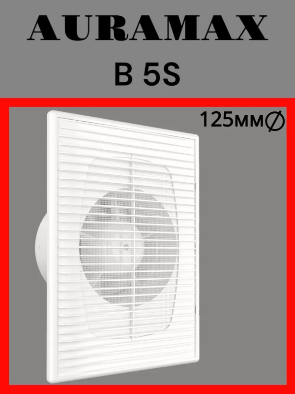 B 5S