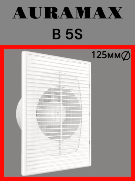 B 5S